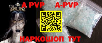 твердый Кингисепп