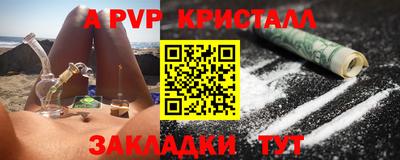 твердый Кингисепп