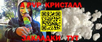 твердый Кингисепп