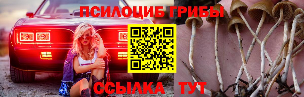 Кондопога  Псилоцибиновые грибы ЛСД  Вход с VPN 
